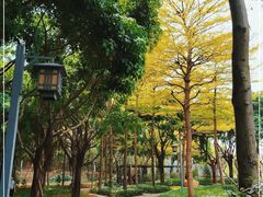 -王借岗森林公园