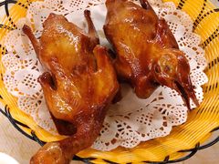 -百利鸽王(紫薇路店)