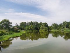 -桤木河湿地公园