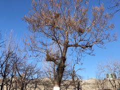 -力力豆花庄(广渠门店)