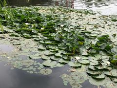 -长春市南湖公园