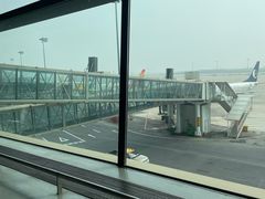 -郑州新郑国际机场-T2航站楼
