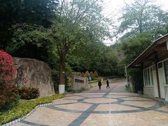 -狐尾山公园