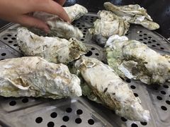 -蚝专家(北滘店)
