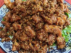 孜然羊肉-北大地皖峰饭馆