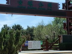 -古塔公园
