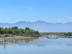 -野鸭湖国家湿地公园