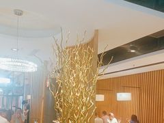 -虾饺妹·酒家(金碧店)