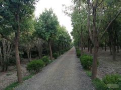 -嘉北郊野公园