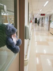 -杭州贝瑞斯美华妇儿医院·早孕·产检·儿科