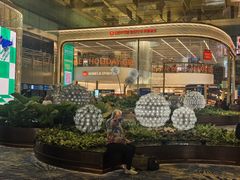 -樟宜机场免税店