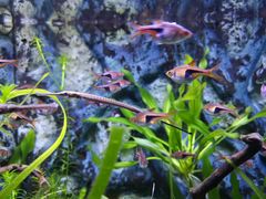 -上海海洋水族馆