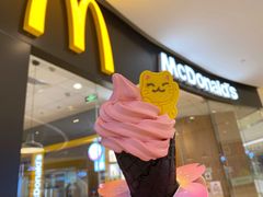 -麦当劳(石家庄北国店)