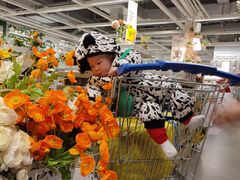 -宜家家居(西安未央商场店)