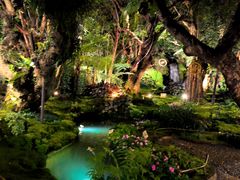 -Chom Cafe and Restaurant