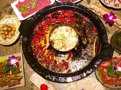 -重庆渝达老火锅(春熙路店)