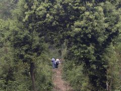 -青龙山国家森林公园