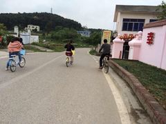 -铁山坪森林公园