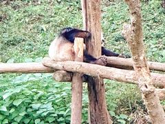 -红山森林动物园