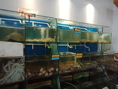 水产区-胖大嫂渔家排档·全海景餐厅(渔村店)