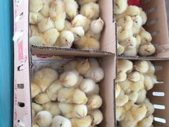 -兴芮温泉度假区