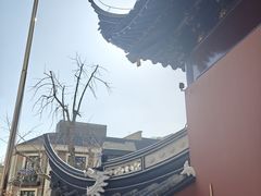 -上海白云观