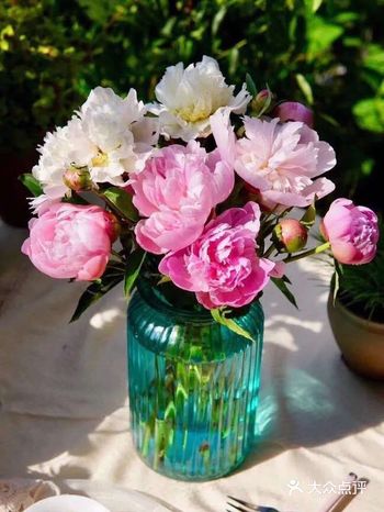 芍药养护要点：  1.    收到后请根据花瓶高度剪