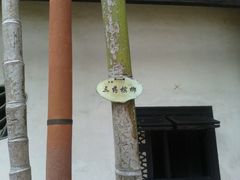 android_upload_pic-东莞市可园博物馆