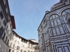 -圣母百花大教堂穹顶