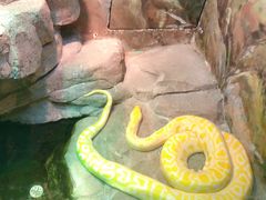 -福州罗源湾海洋世界旅游区