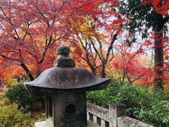 -常寂光寺