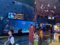 -烟台海昌鲸鲨海洋公园