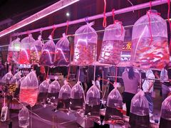 -华声天桥民俗文化园