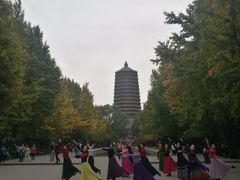 -玲珑塔公园