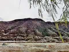 -百花人家(清水镇店)