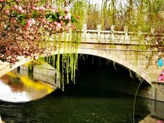 -海棠花溪(元大都城垣遗址公园)