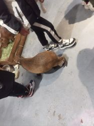 -Zoolung Zoolung动物主题公园(海信广场店)