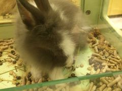 -龙猫仔乐园(惠福东路店)