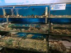 -仙螺岛海鲜自助餐厅(总店)