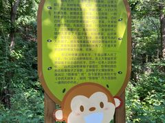 -大岭沟猕猴桃谷风景区