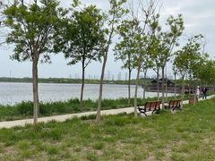 -天津东丽湖风景区