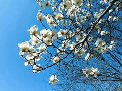 -济南国际园博园