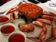 -Oyster Talks 四度蚝法餐厅