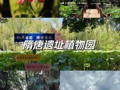 -洛阳市隋唐城遗址植物园