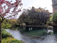-贵阳市花溪国家城市湿地公园