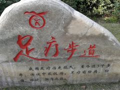 -重庆彩云湖湿地公园