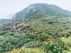 -杨梅坑
