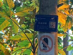-南山植物园