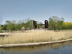 -绿堤公园