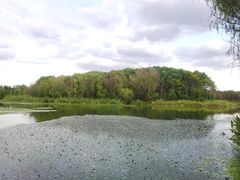 -昆山城市生态森林公园